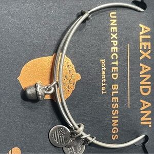 Alex and Ani Silver Charm Bracelet Unexpexted Blessings